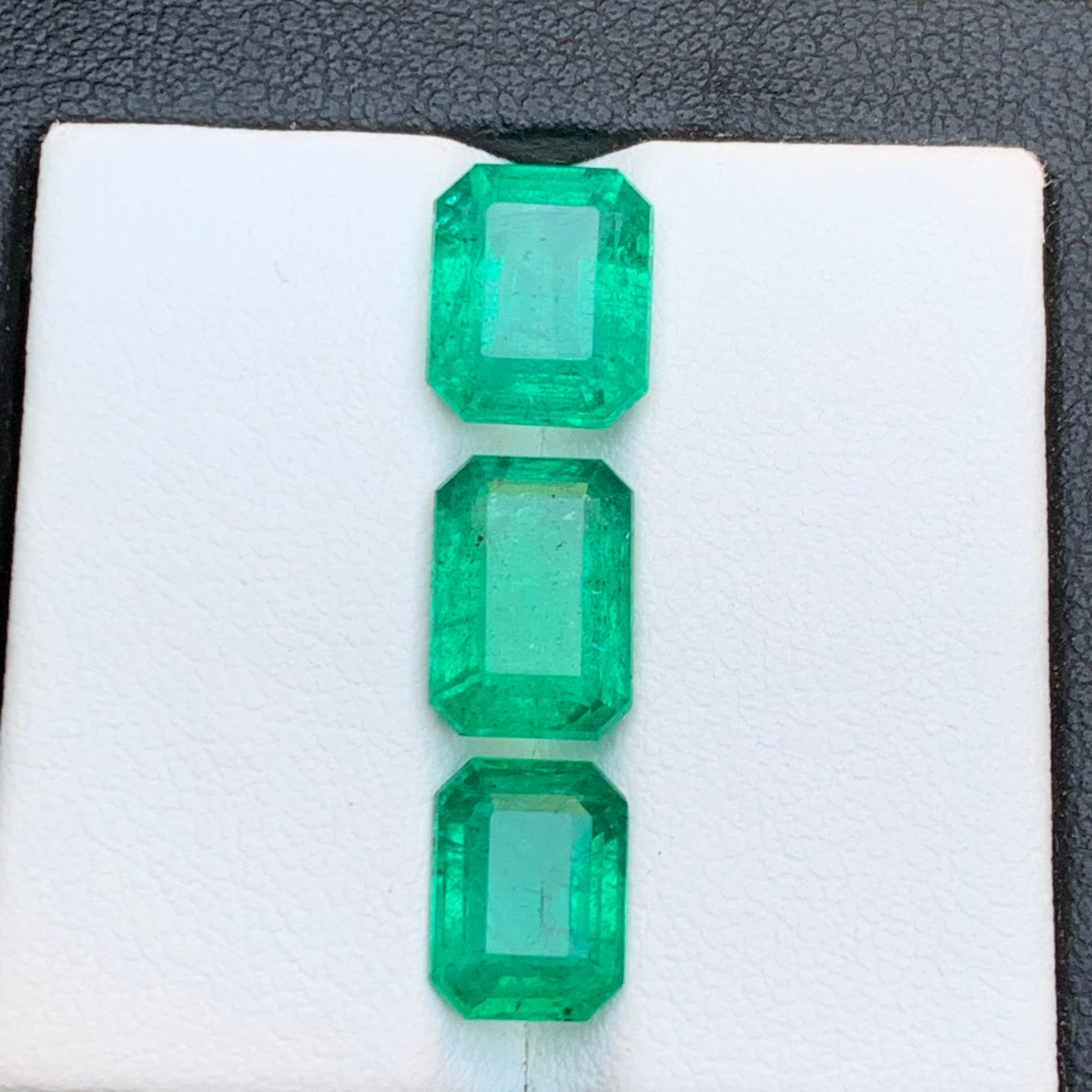 Vivid Bluish Green Natural Emerald Loose Gemstones Lot 7.25 Ct Emerald Cut-Jewel For Sale 6