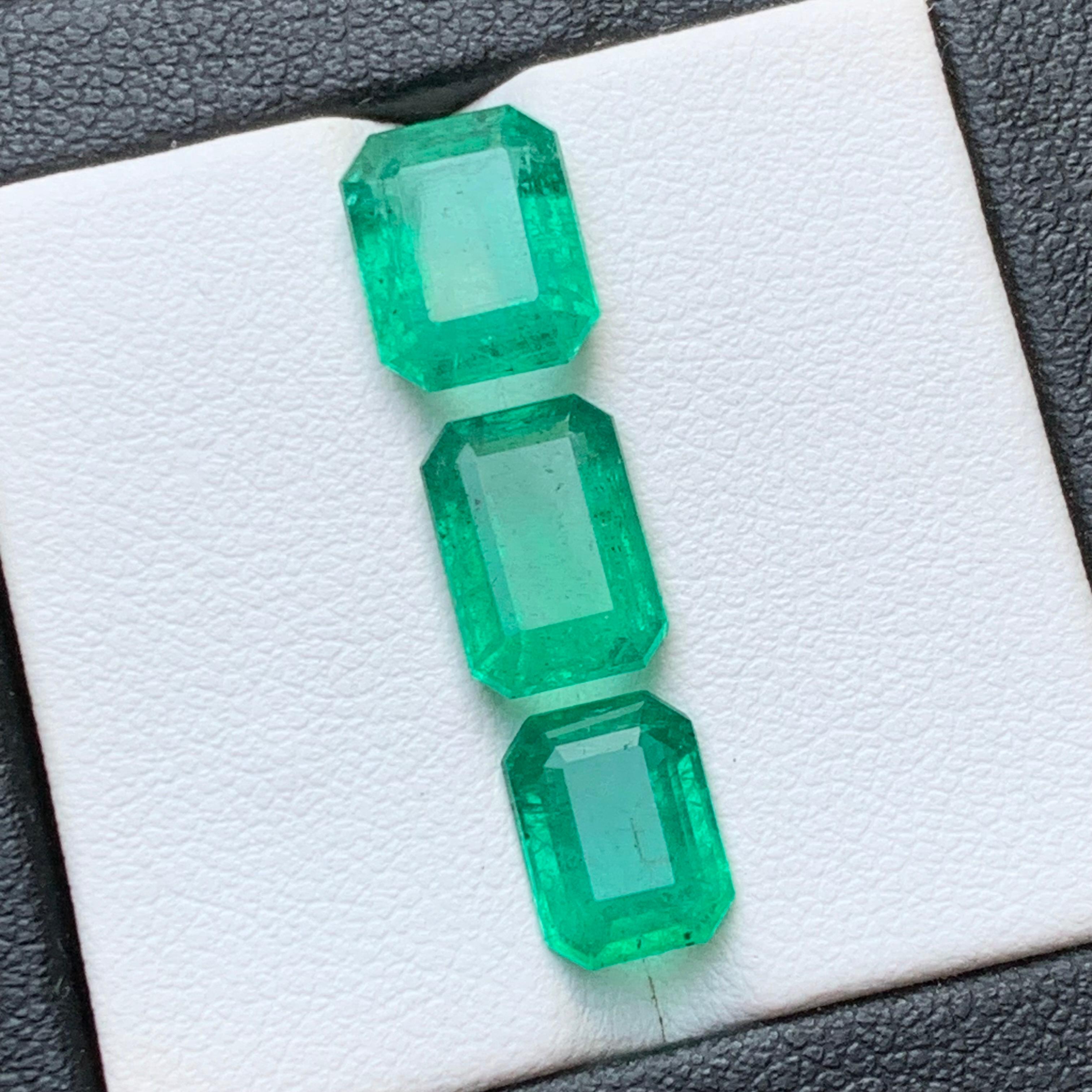 Vivid Bluish Green Natural Emerald Loose Gemstones Lot 7.25 Ct Emerald Cut-Jewel For Sale 7
