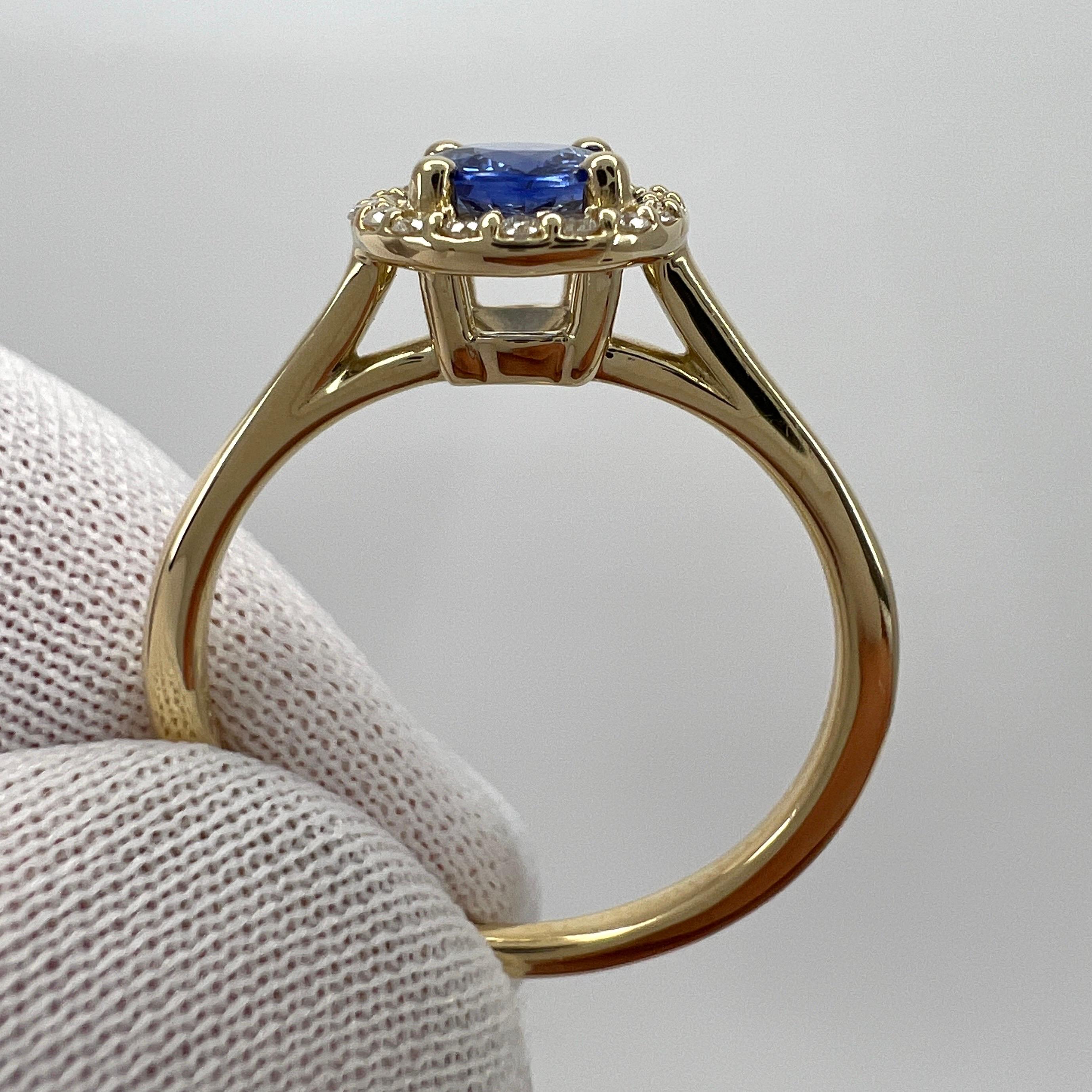 Women's or Men's Vivid Bright Blue Ceylon Sapphire & Diamond Round Cut 18k Yellow Gold Halo Ring For Sale