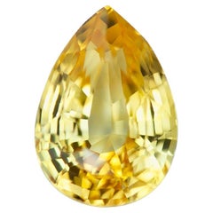 Vivace zaffiro giallo canarino da 1,55 carati, pera di Ceylon riscaldata, gemma sfusa