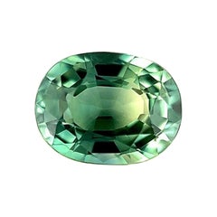 Zaffiro australiano verde vivo 0,80ct taglio ovale sfuso Gemma rara VVS