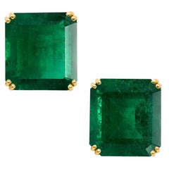 VIVID GREEN zertifiziert  10,39 Karat Smaragdschliff-Ohrstecker aus 18K Gelbgold