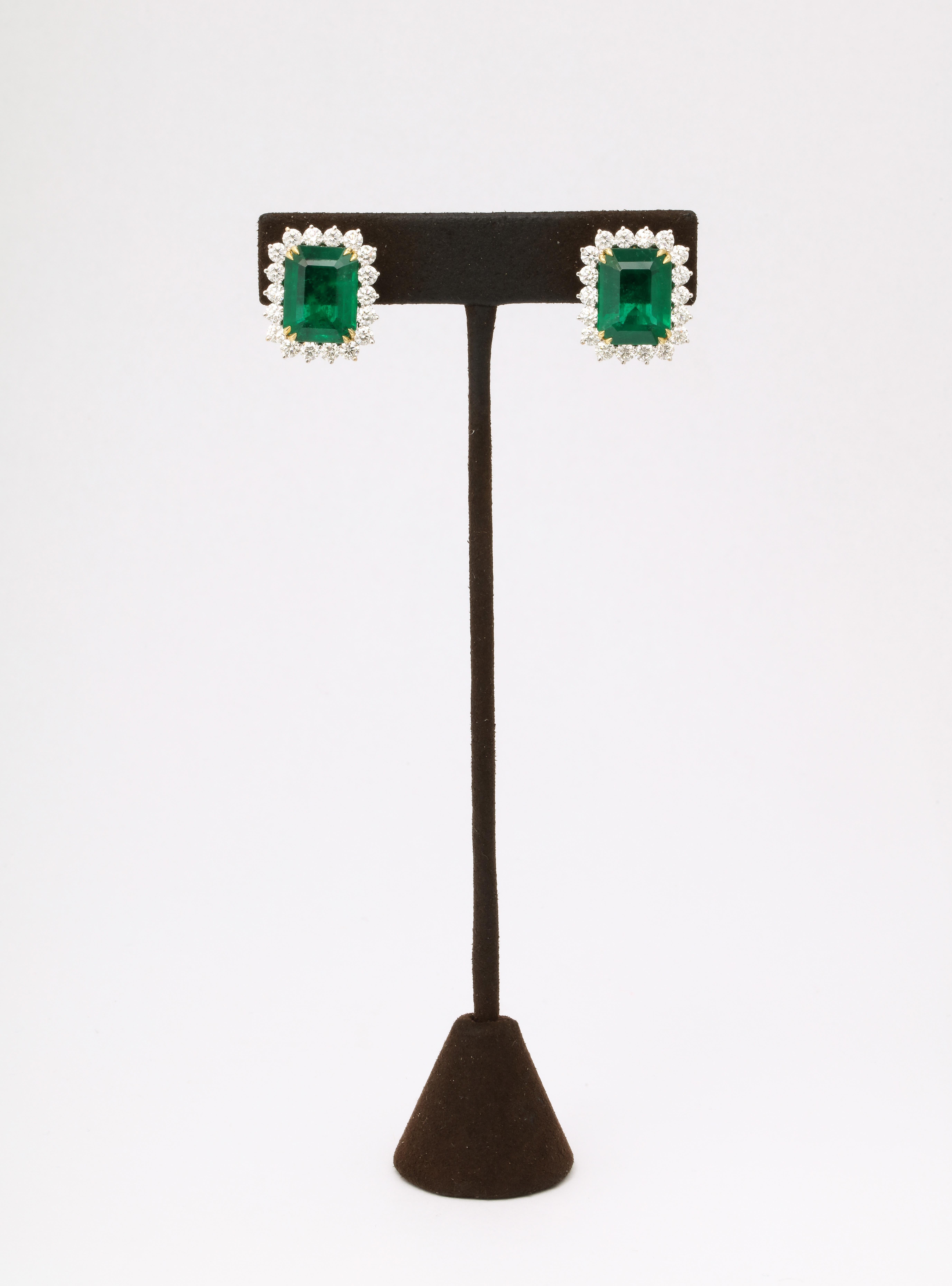 
A STUNNING pair of Emeralds with fabulous color and luster. 

16.15 carats of certified Vivid Green Emerald Cut Emeralds surrounded by 3.43 carats of white round brilliant cut diamonds. 

Set in a custom 18k white gold mounting with yellow gold