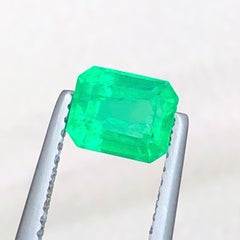 Vivid Green Natural Colombia Emerald 0.89 Ct Emerald Cut Loose Gemstone for Ring