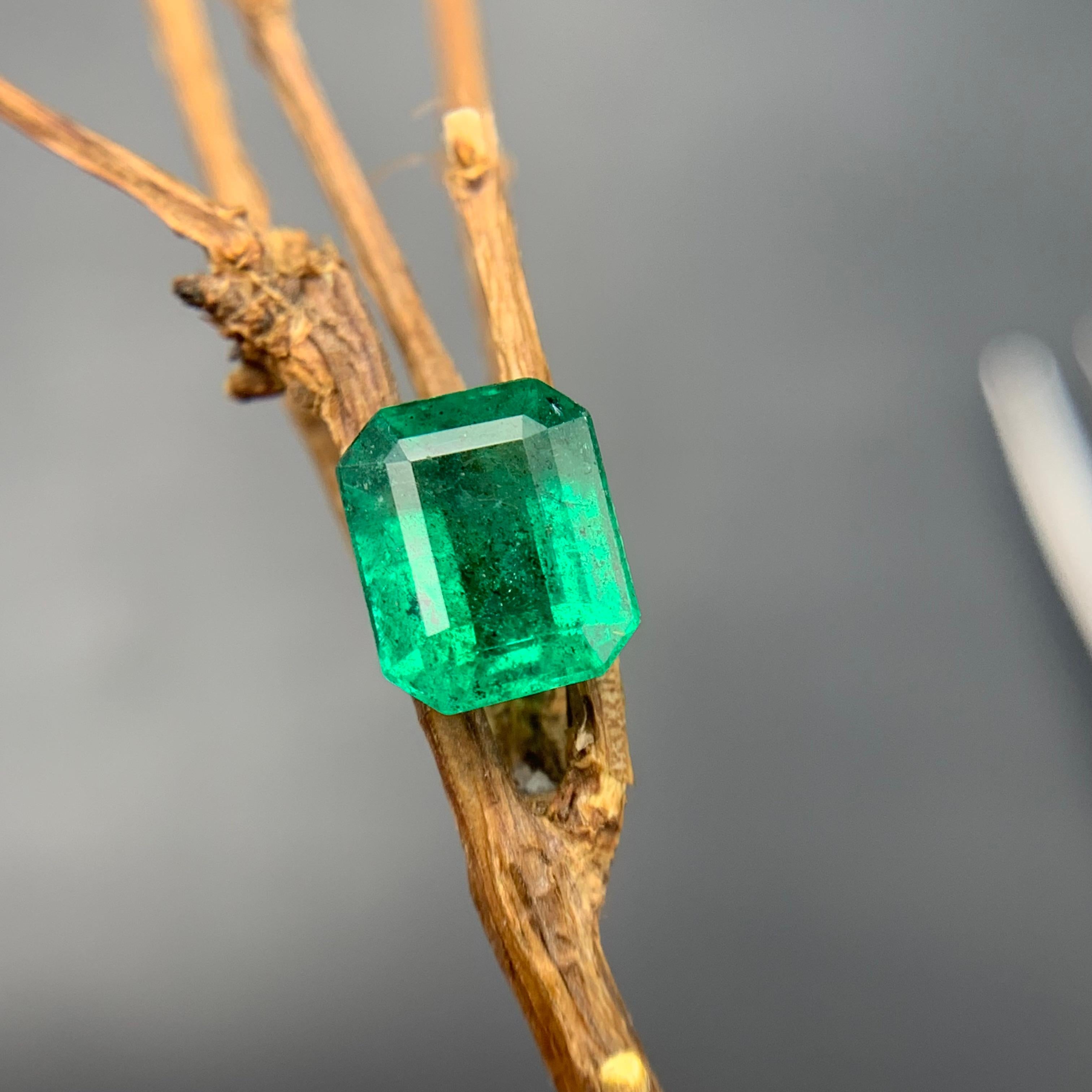 Vivid Green Natural Emerald Ring Pendant Loose Gemstone 1.85Ct Octagon Cut-Jewel For Sale 8