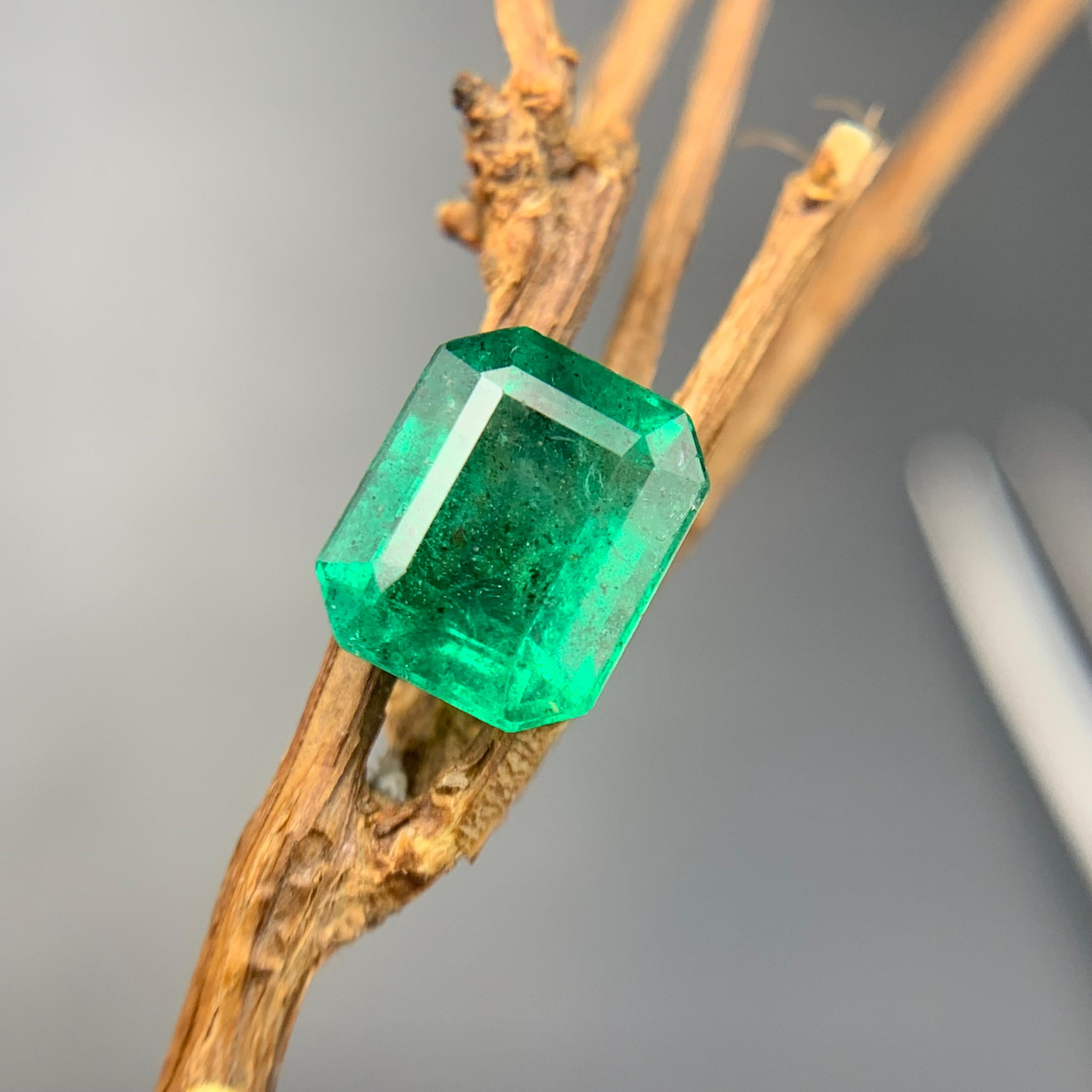 Vivid Green Natural Emerald Loose Gemstone for Ring, Necklace Pendant, Bracelet or any other Jewelry Setting-Octagon Cut!!

💎 GEMSTONE TYPE: Emerald
⚖️ WEIGHT: 1.85 Carats
🪚 SHAPE & CUT: Octagon Cut
📏 SIZE (MM): 8.24 x 6.80 x 4.58
🌈 COLOR: Vivid