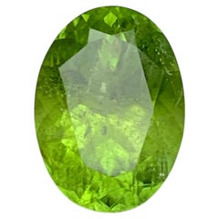 Vivid Green Natural Peridot 7.19 Carat Oval Cut Loose Gemstone for Ring —Jewelry