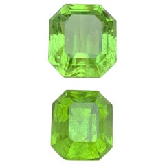 Vivid Green Natural Peridot Octagon Cut 8.32 Carat Loose Gemstones for Jewelry