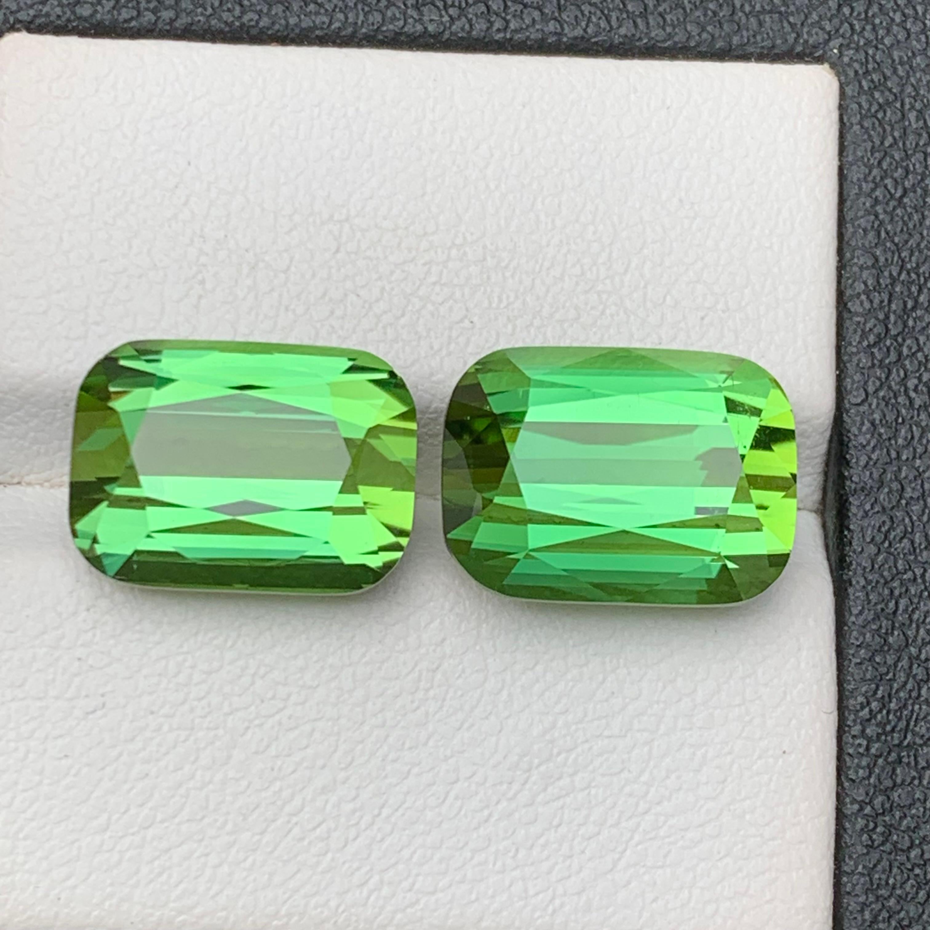 Orecchini con tormalina naturale verde vivo, ciondolo con gemme sciolte 18,90 ct-gioielli in vendita 2