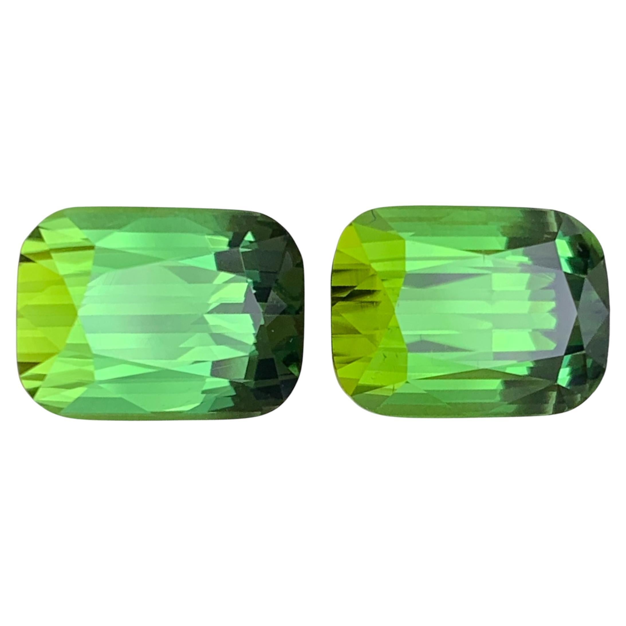 Vivid Green Natural Tourmaline Earrings, Pendant Loose Gemstones 18.90Ct-Jewelry
