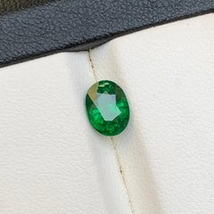 Vivid Green Natural Tsavorite Loose Gemstone 1.43 Ct Oval Cut for Ring-Jewelry