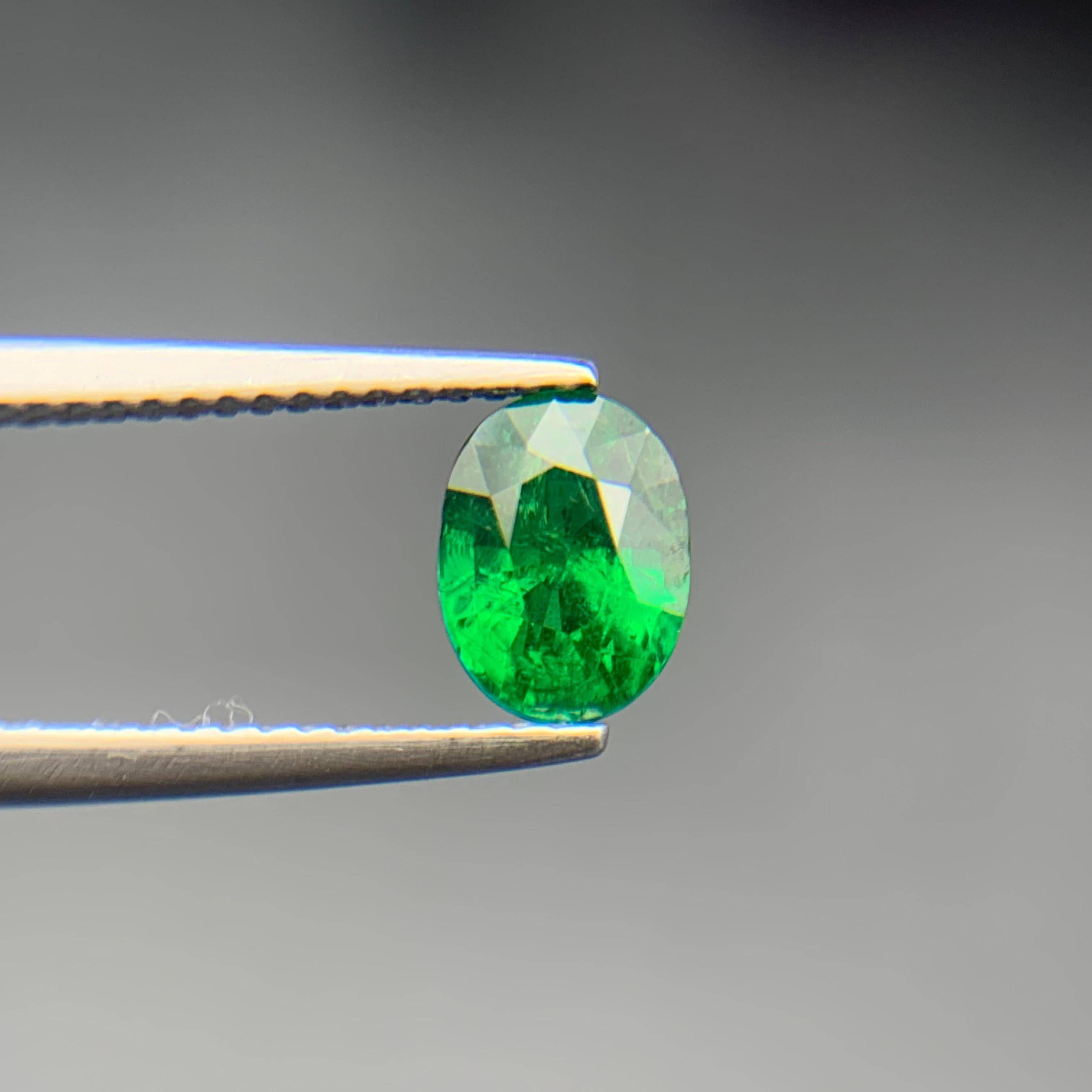 Lebendiges Grün Natürlicher Tsavorit Loser Edelstein 1.43 Ct Oval Schliff für Ring-Schmuck (Zeitgenössisch) im Angebot