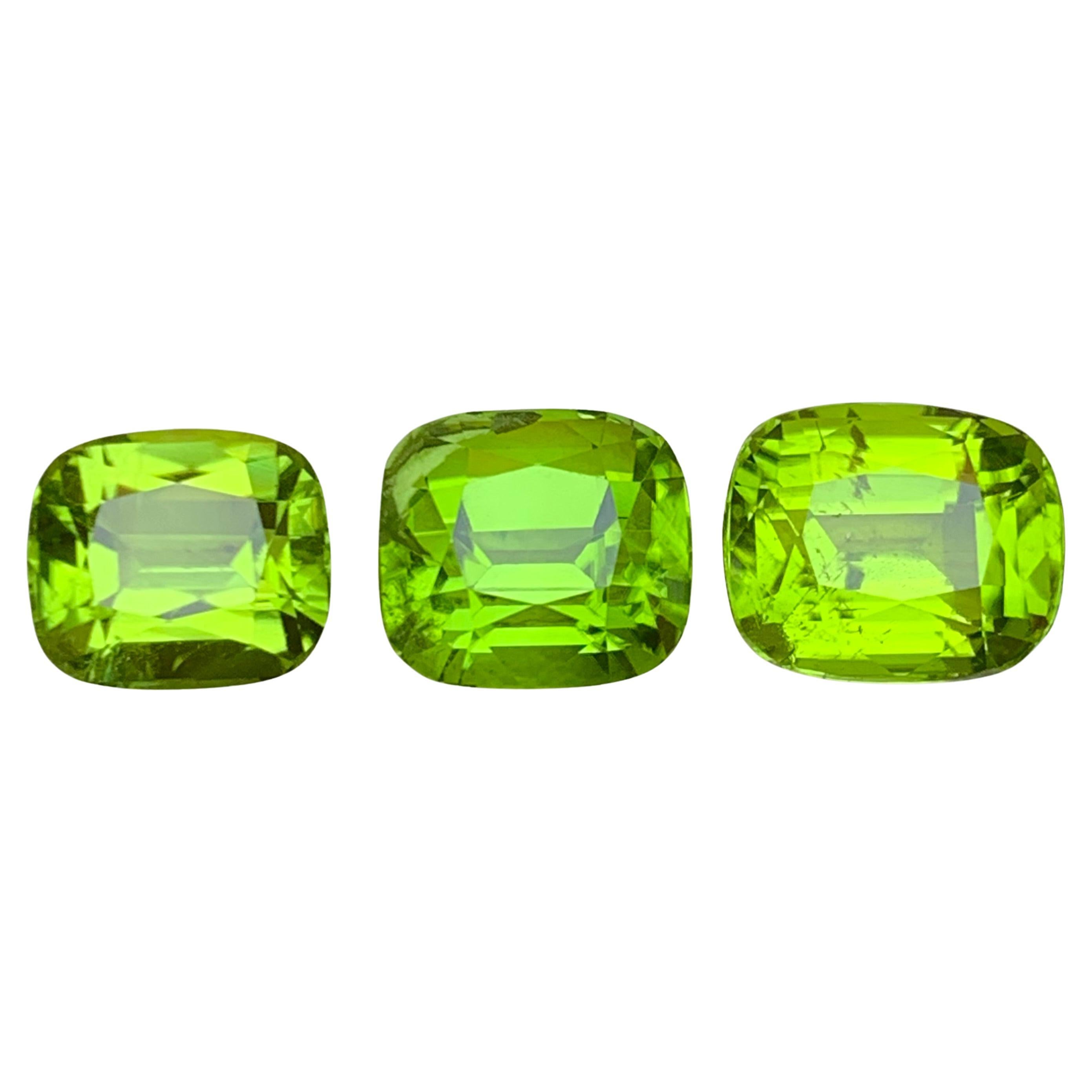 Vivid Green Peridot 12 Ct Cushion Cut Natural Lose Edelsteine Paket für Schmuck