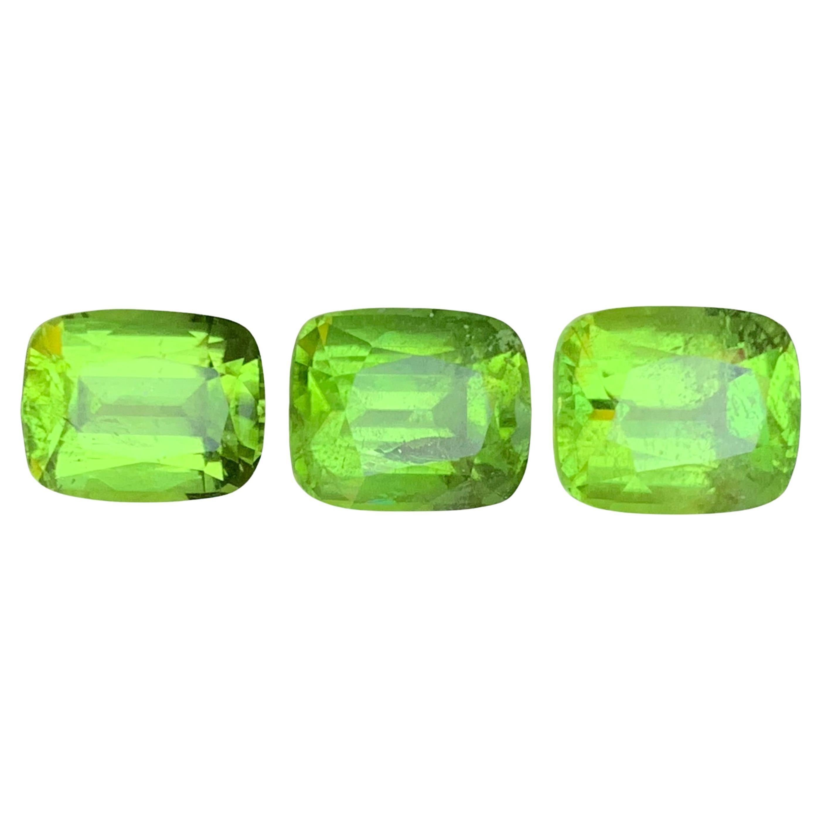 Vivid Green Peridot 14.57 Ct Cushion Cut Natürliche Lose Edelsteine Paket-Schmuck