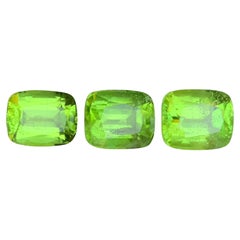 Peridoto verde vivo 14,57 Ct Taglio Cuscino Gemme Naturali Sciolte Pacco-Gioielli