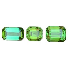 Lebendiger grüner Turmalin 4.03 Ct Smaragdschliff Natürlicher loser Edelstein Paket-Schmuck