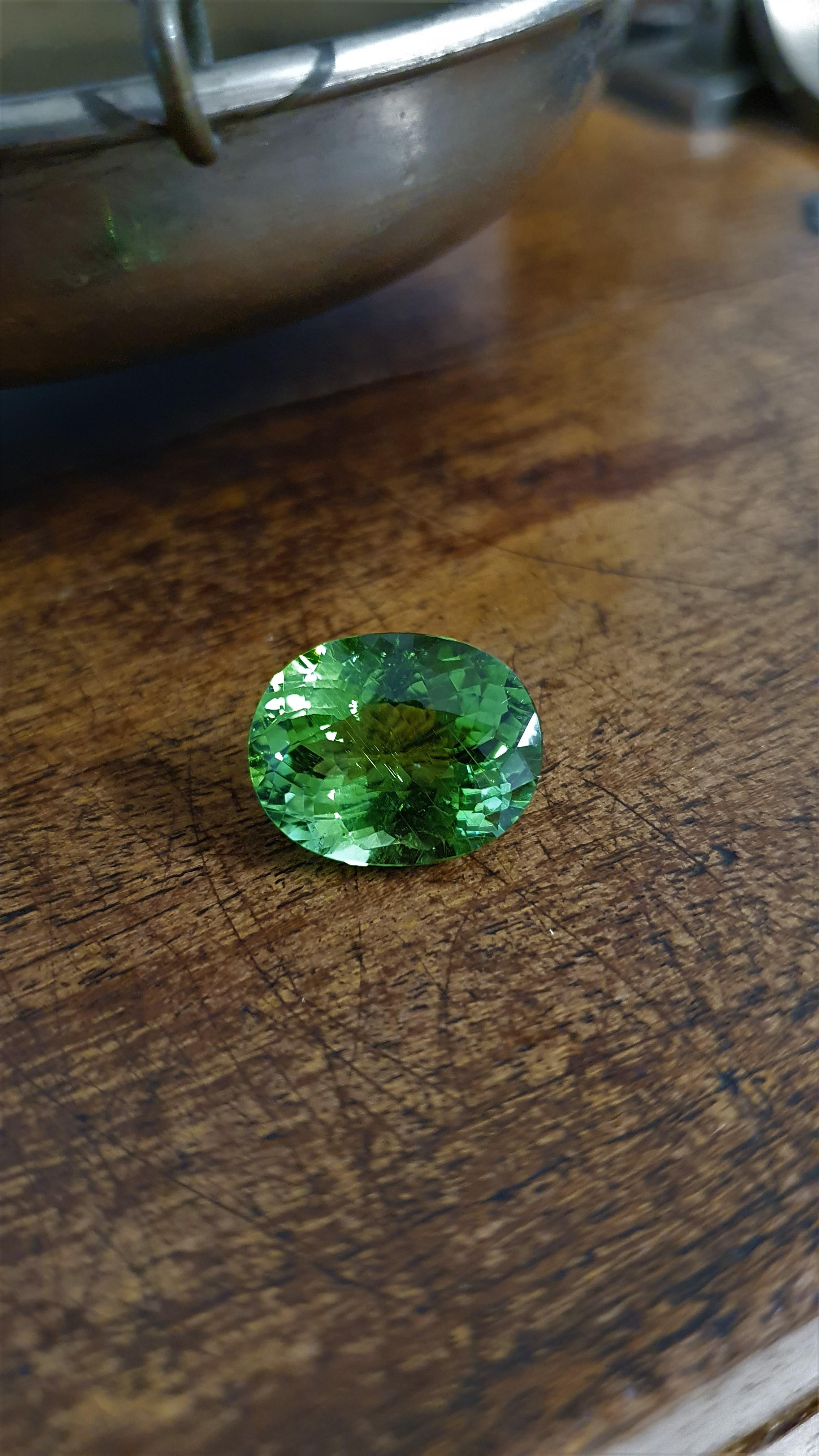 Vivid Green Tourmaline, pierre à facettes, 12, 30 ct, pierre en vrac, ovale en vente 7