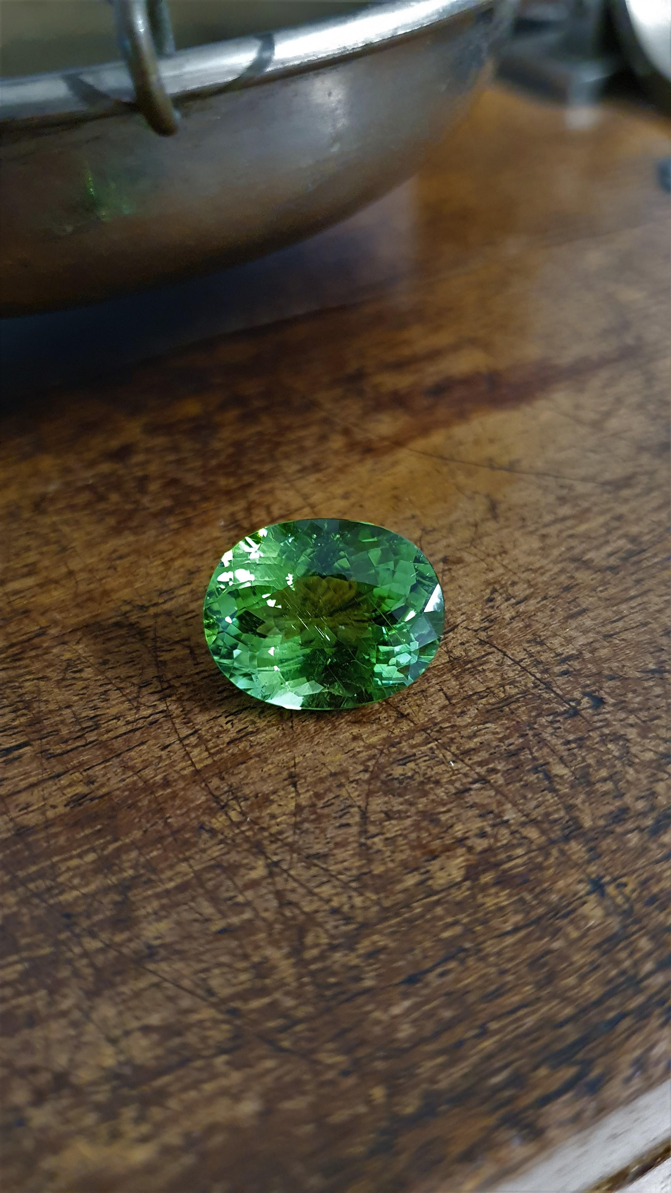 Vivid Green Tourmaline, Faceted Gem, 12, 30 Ct., Loose Gemstone, Oval For Sale 7