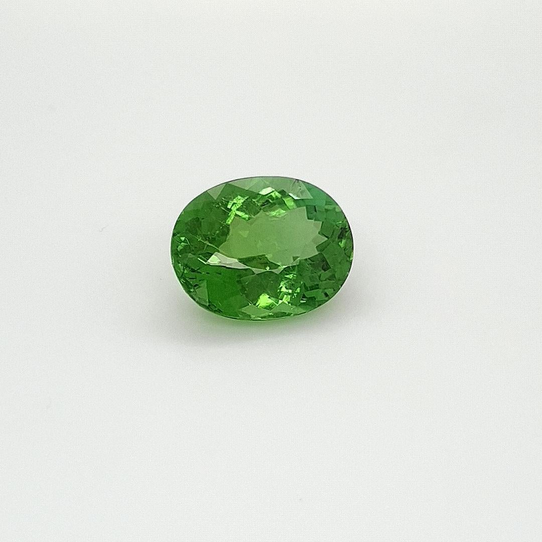 We are delighted to be able to offer, this 12,30 ct. green Tourmaline from our collection.
This beautiful gem has a vivid green color and a great fire. Cutting and proportion enable an very high light return from every angle!
The stone has none