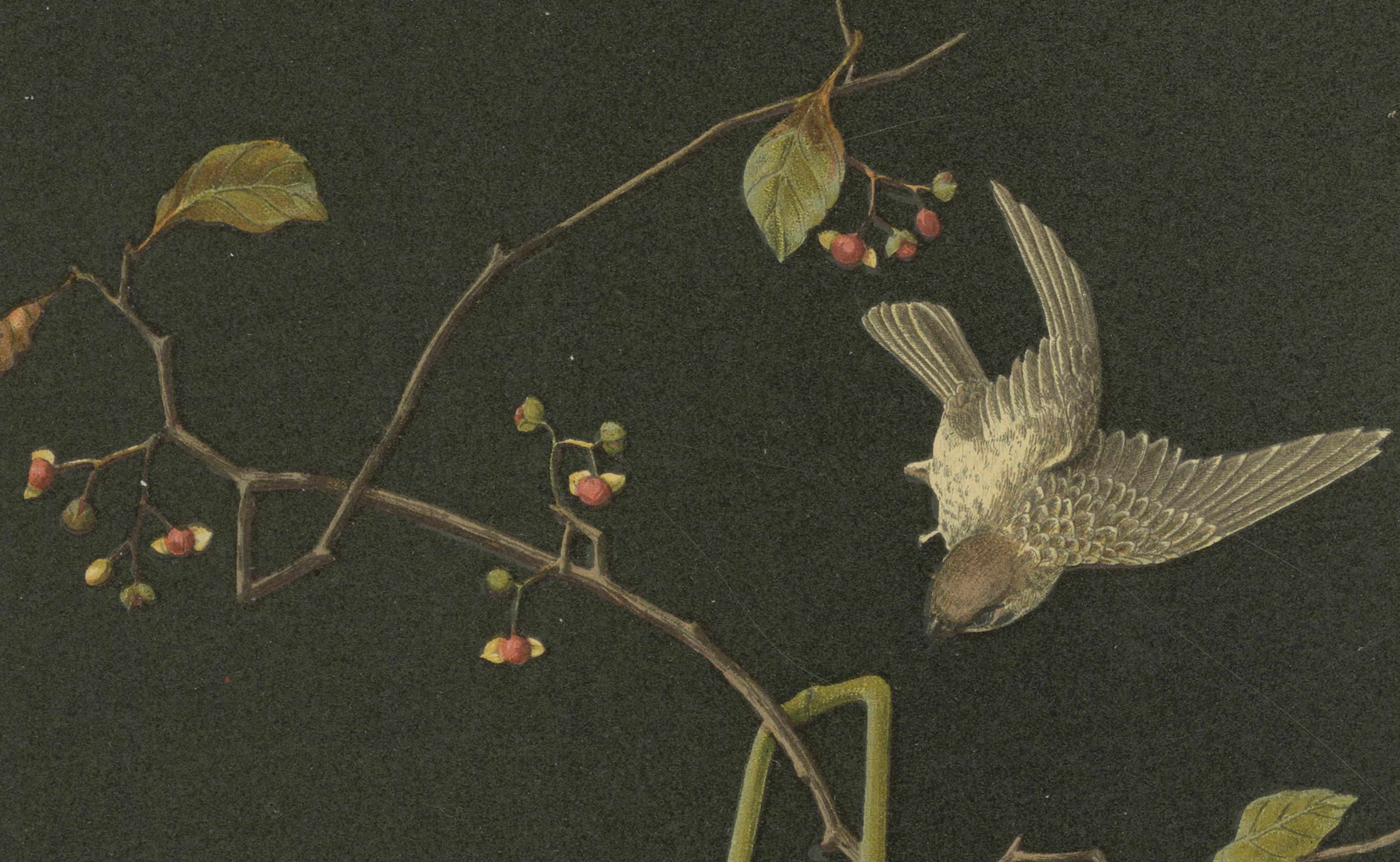 Vivid handkolorierte Lithographie aus Audsleys The Ornamental Arts of Japan, 1884 (Spätes 19. Jahrhundert) im Angebot