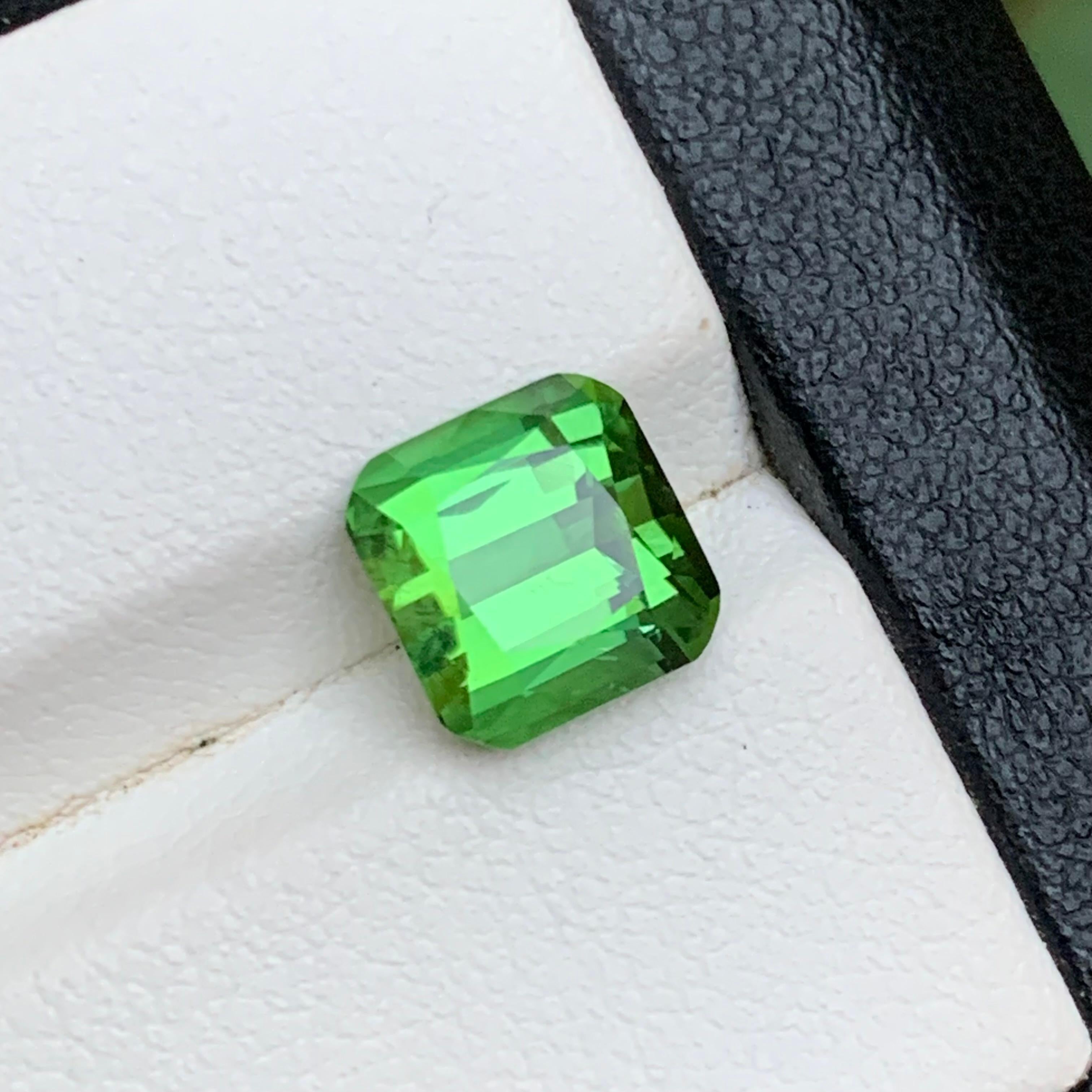 Vivid Minty Green Natural Turmalin lose Edelsteine für Ring, Ohrringe, Halskette Anhänger, Armband oder jede andere Schmuck Einstellung-Oval Cut!!!

💎 EDELSTEINART: Turmalin
⚖️ GEWICHT: 3,14 Karat
🪚 FORM & SCHNITT: Quadratischer Kissenschliff
📏