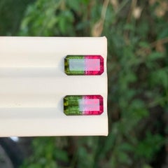 Vivid Red, Intense Green Natural Watermelon Tourmaline Pair Gemstone for Jewelry
