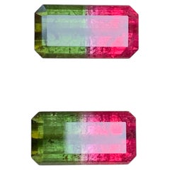 Vivid Red, Intense Green Natural Watermelon Tourmaline Pair Gemstone for Jewelry