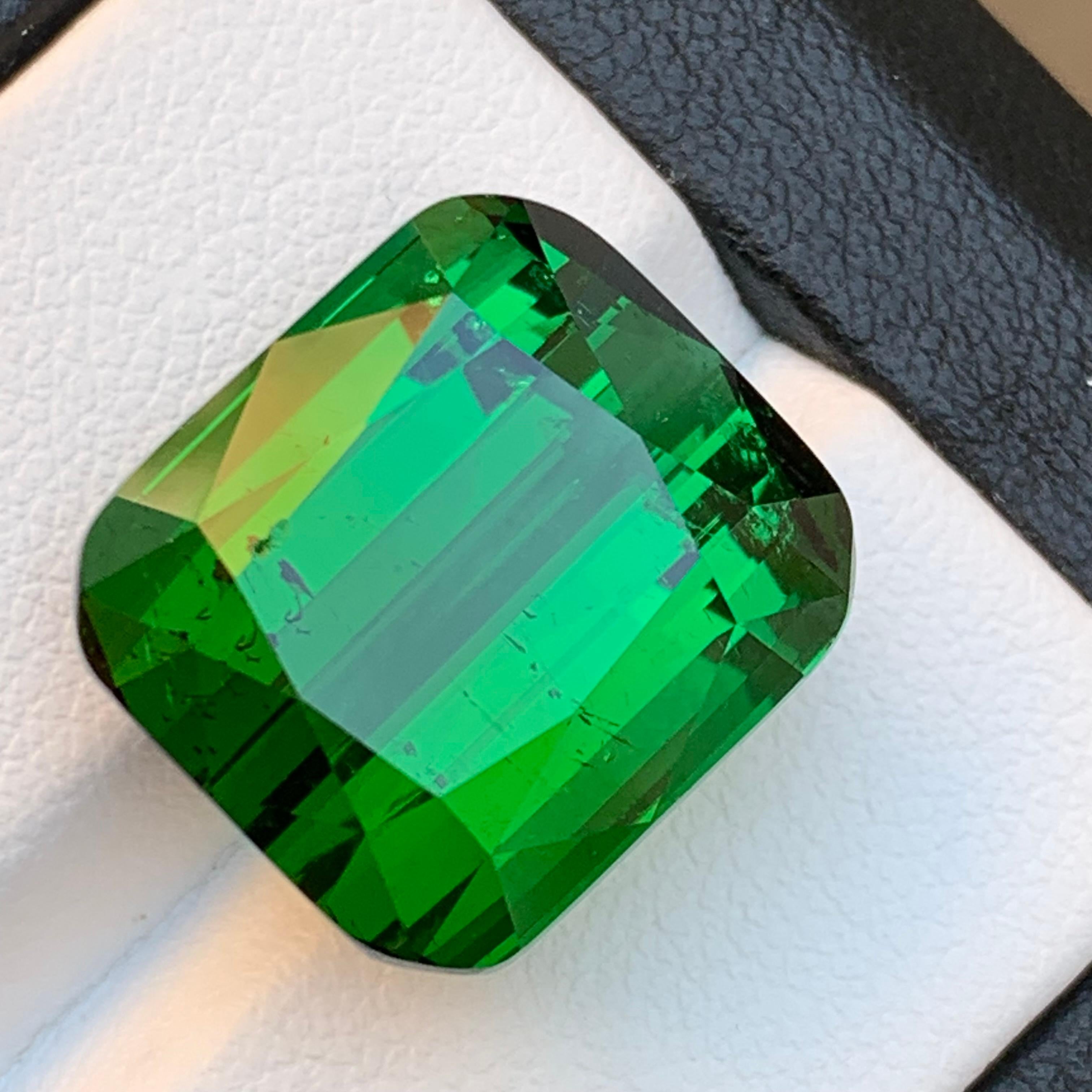 Tourmaline Naturelle Vert Riche pour Bague, Collier Pendentif, Bracelet ou tout autre bijou - Taillée en coussin de Kunar Afghanistan !!!

💎 TYPE DE PIERRE PRÉCIEUSE : Tourmaline
⚖️ POIDS : 26.40 Carat
🪚 SHAPE & CUT : Coupe coussin
📏 TAILLE (MM)
