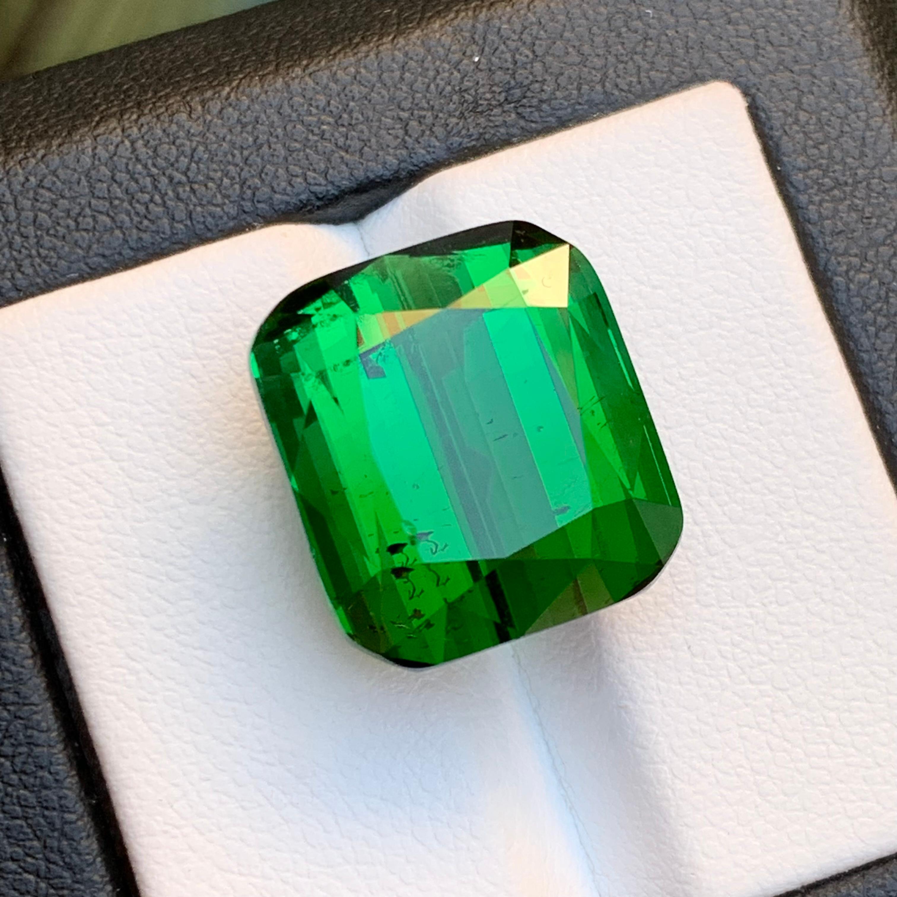 Pendentif en tourmaline naturelle verte riche 26,40 carats en vente 1