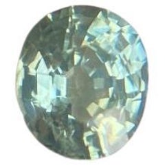 Vivid Yellowish Green Australian Sapphire 0.78ct Oval Cut Loose Gem