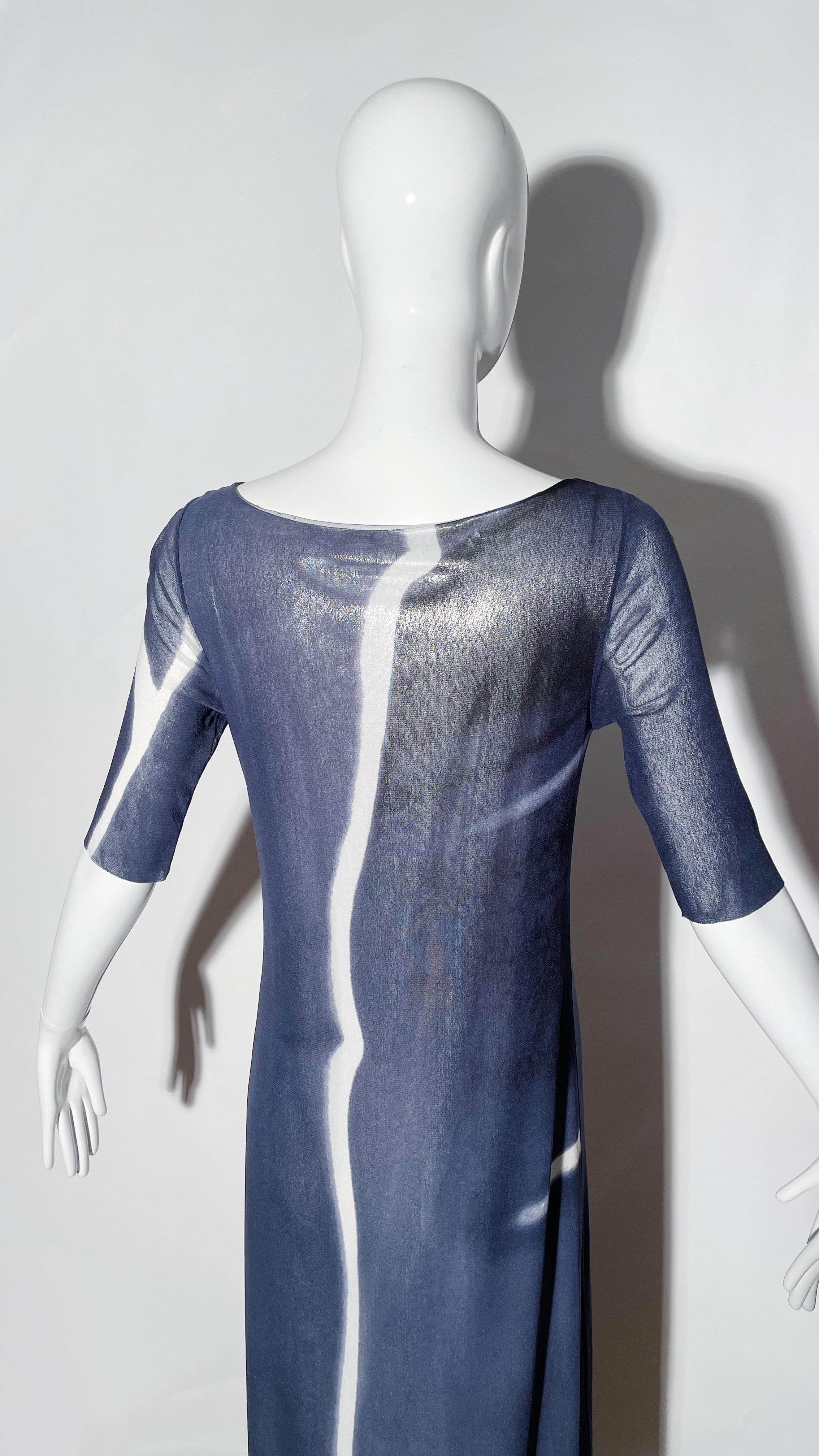 Vivienne Tam Blue Sheer Maxi Dress For Sale 3