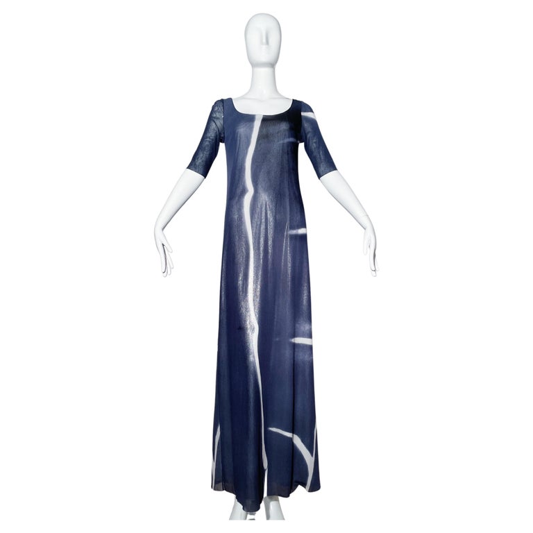 Vivienne Tam Blue Sheer Maxi Dress For Sale at 1stDibs