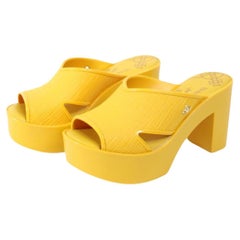 Vivienne Westwood Anglomania + Sandalias de plataforma Melissa