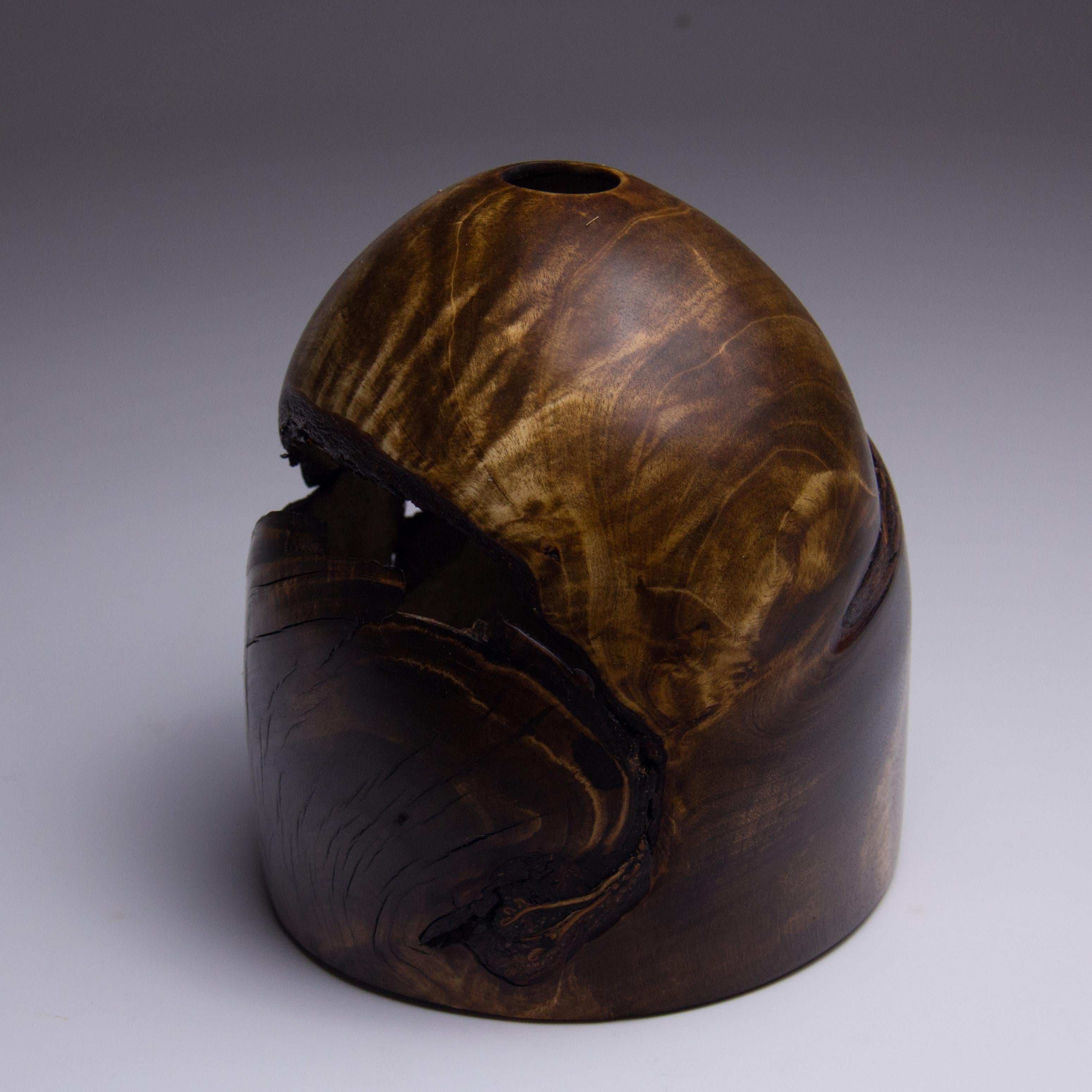 Modern Vlad Droz, Unique Hand Sculpted Wooden Vase
