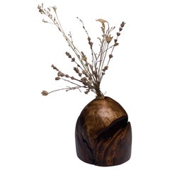 Vlad Droz, Unique Hand Sculpted Wooden Vase