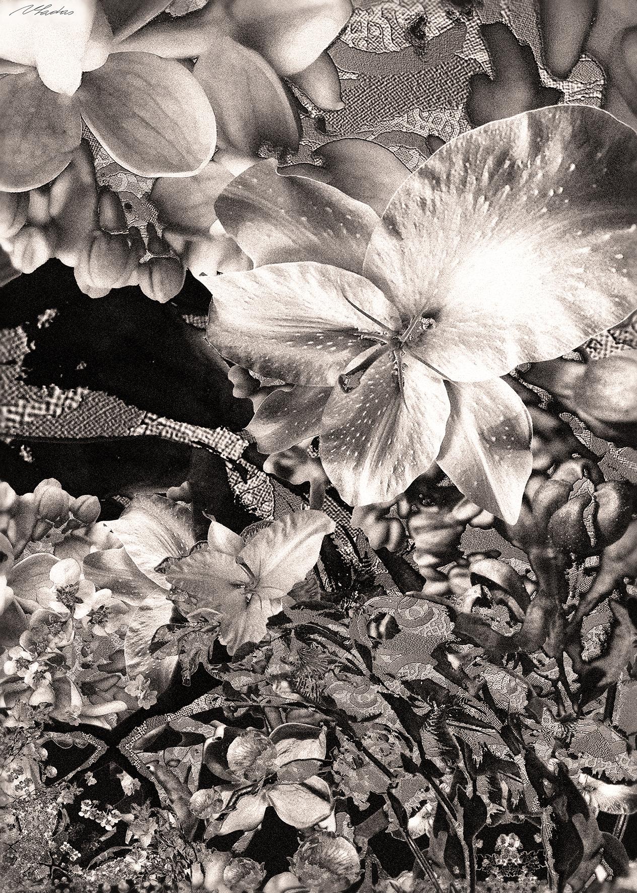 Impresión por sublimación en edición limitada sobre seda - 2ª del díptico - Flores - Print Contemporáneo de Vladas Orzekauskas