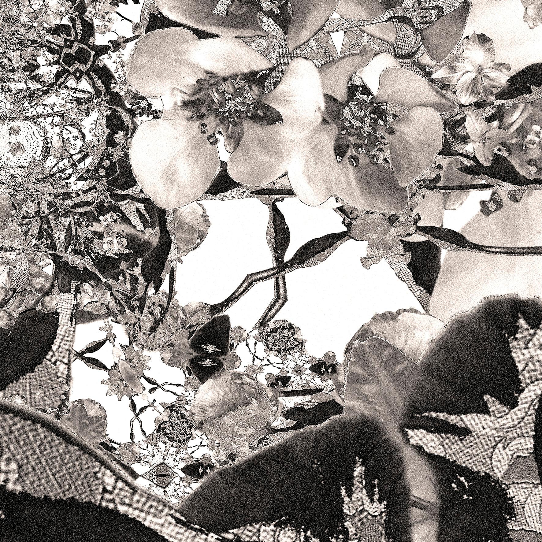 Impresión por sublimación en edición limitada sobre seda - 2ª del díptico - Flores - Still-Life Print Plata de Vladas Orzekauskas