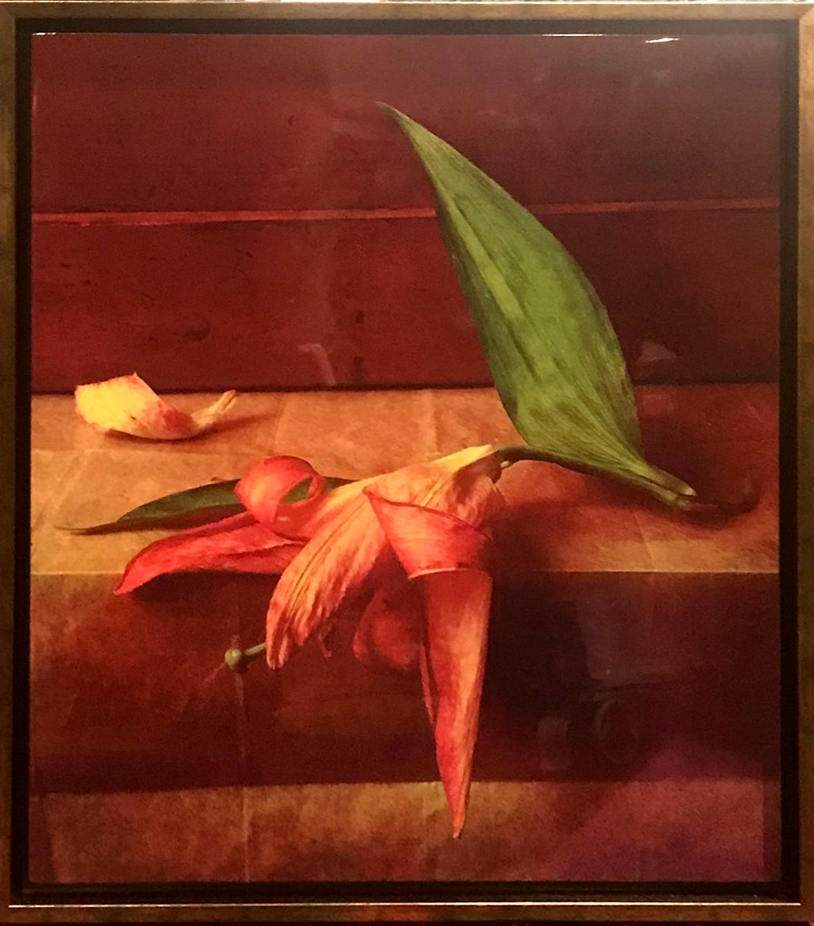 Vladimir Clavijo-Telepnev Still-Life Photograph - "Lilly" Photography on Wood 30"x26" inch Ed. 1/3 by VLADIMIR CLAVIJO-TELEPNEV 