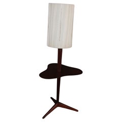 Vintage Vladimir Kagan Custom Floor Lamp with Cloud Shaped table for Kagan-Dreyfus