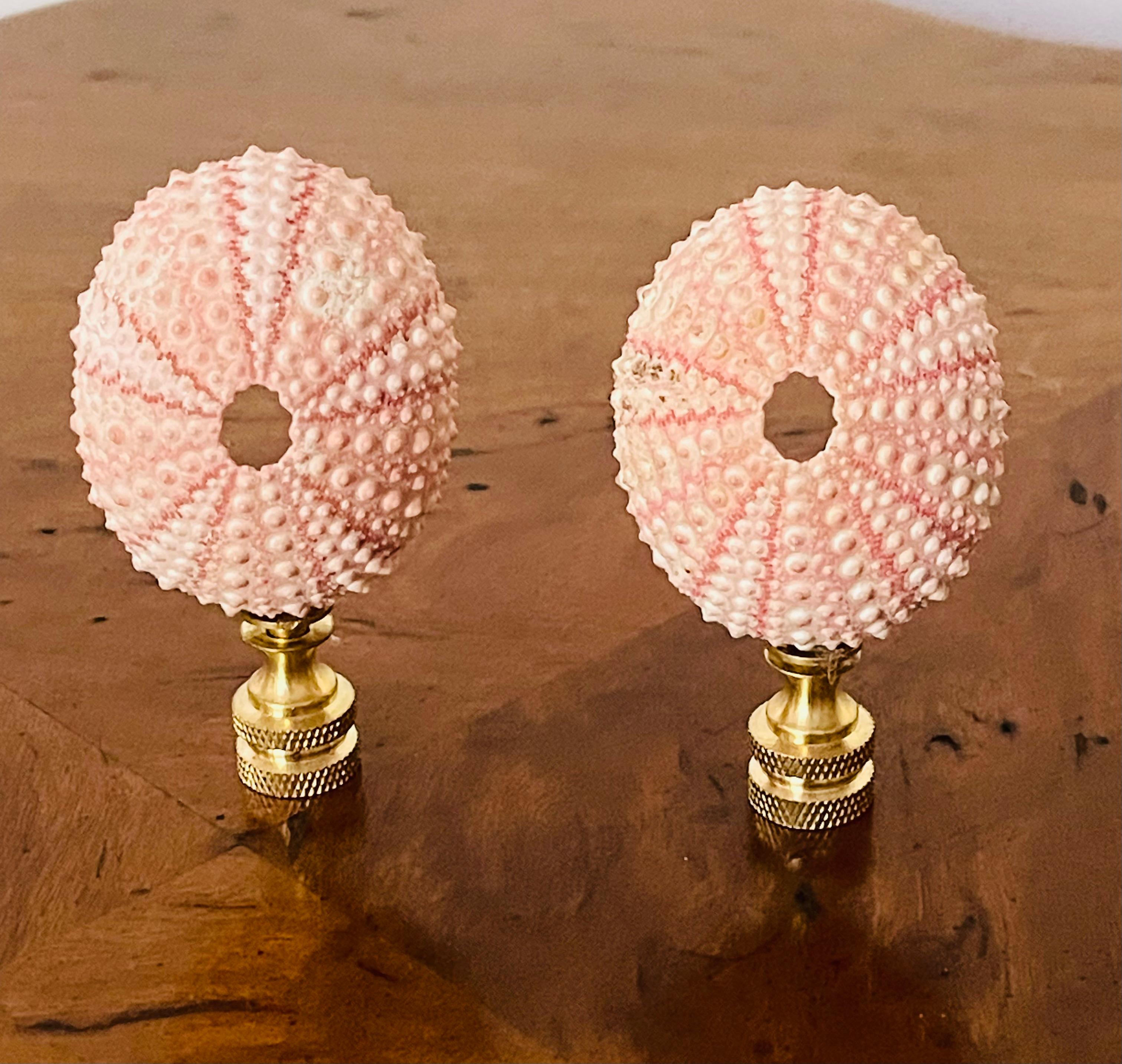 Vntage Pareja de Erizos de Concha de Mar Remates de Lámpara Moderno orgánico en venta