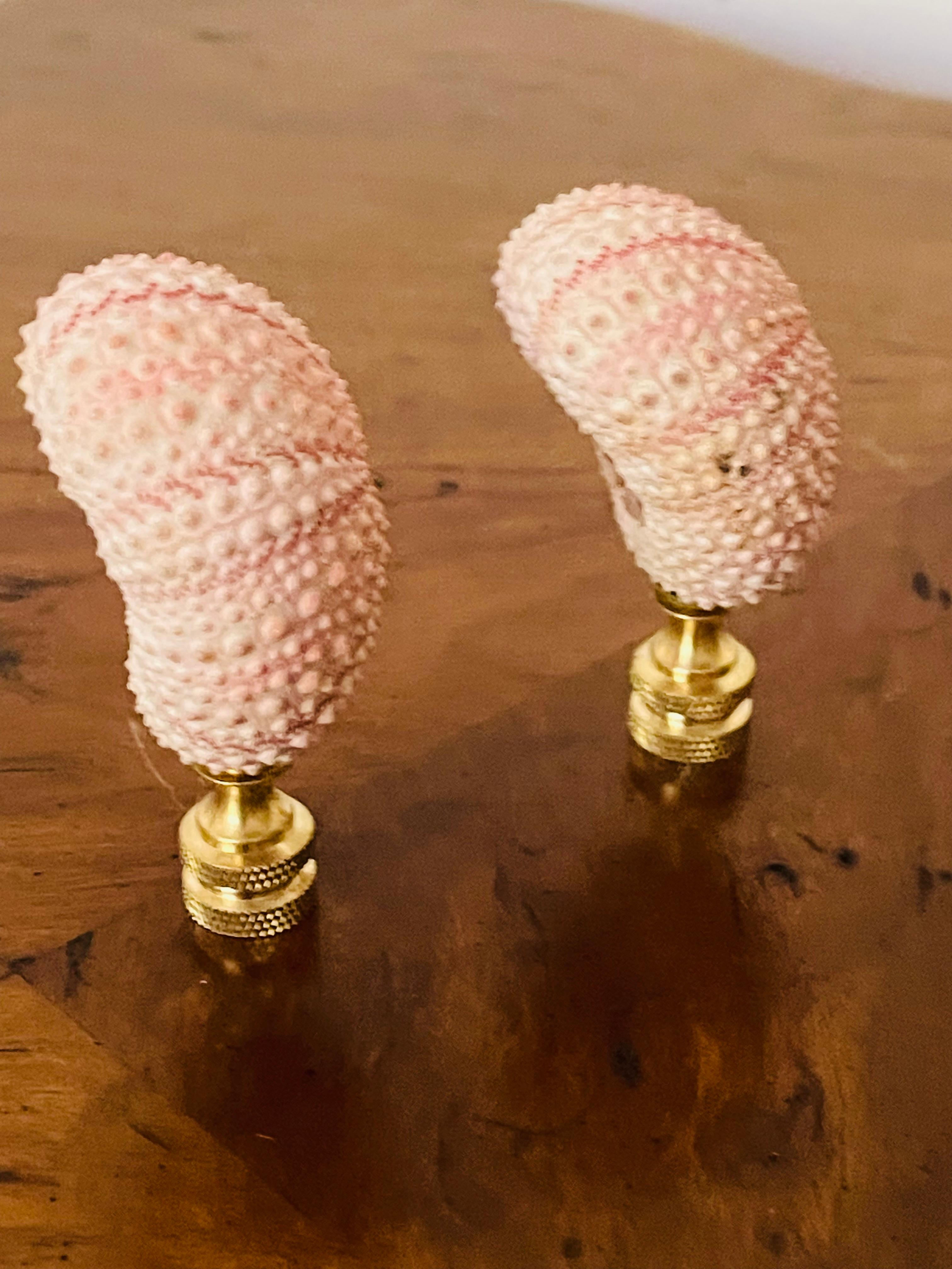 Vntage Pareja de Erizos de Concha de Mar Remates de Lámpara Estadounidense en venta