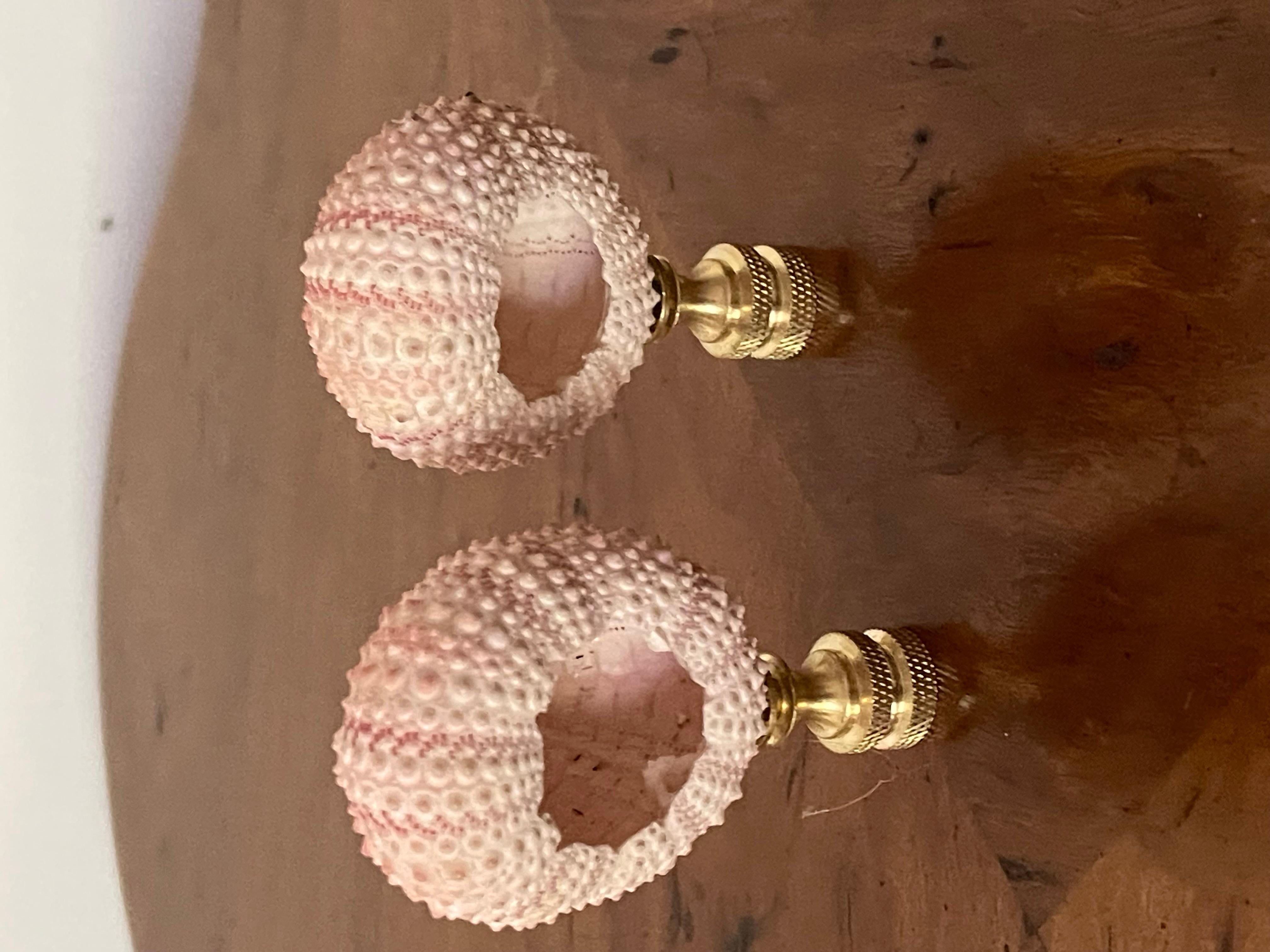 Vntage Pareja de Erizos de Concha de Mar Remates de Lámpara en Bueno estado para la venta en Boca Raton, FL