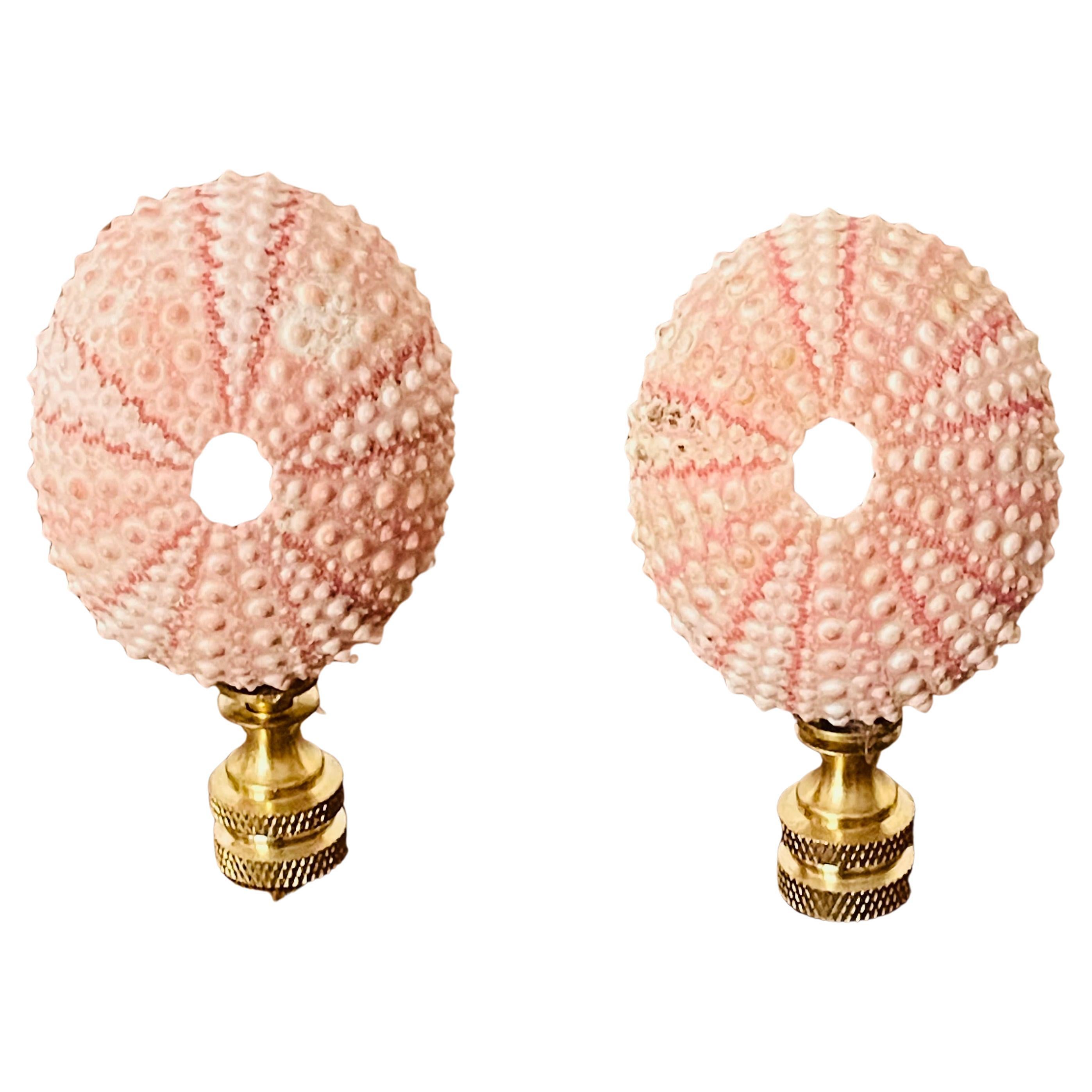 Vntage Pair of Sea Shell Urchins Lamp Finials
