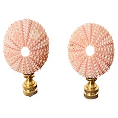 Vntage Pair of Sea Shell Urchins Lamp Finials