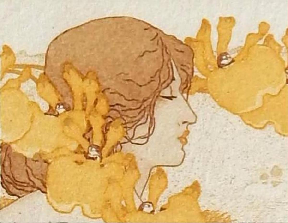 Art nouveau Vojtech Preissig , artiste américain/zéco-américain - Série d'eaux-fortes orchidées Art Nouveau en vente
