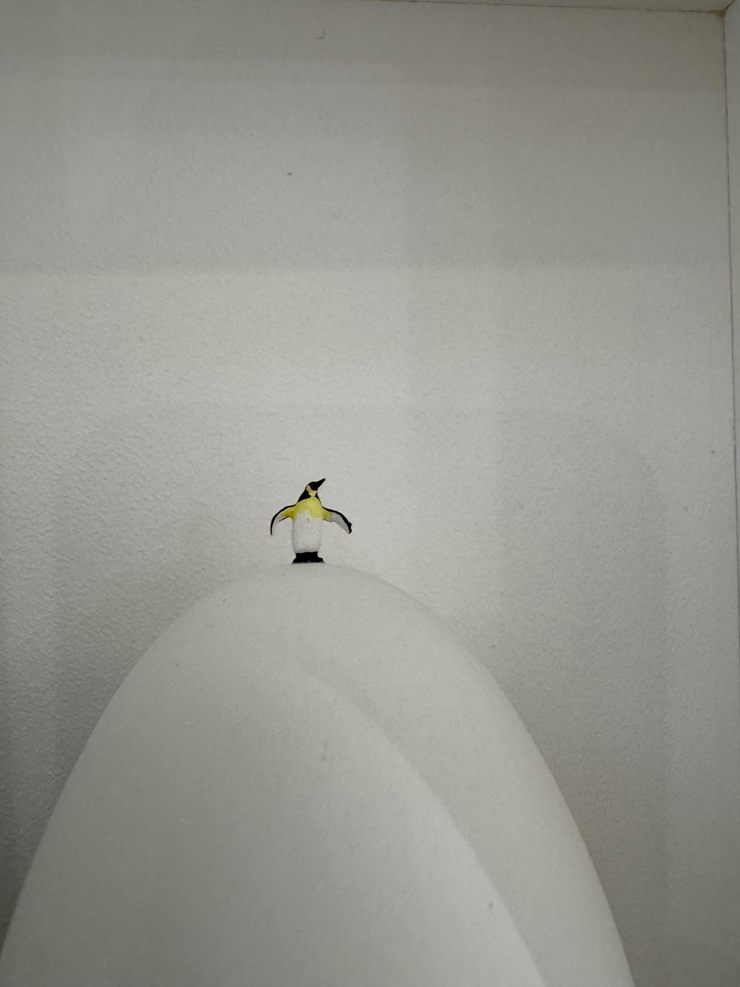 Soy tan feliz - arte contemporáneo en cajas obra de Volker Kuhn pingüino sobre huevo en venta 6