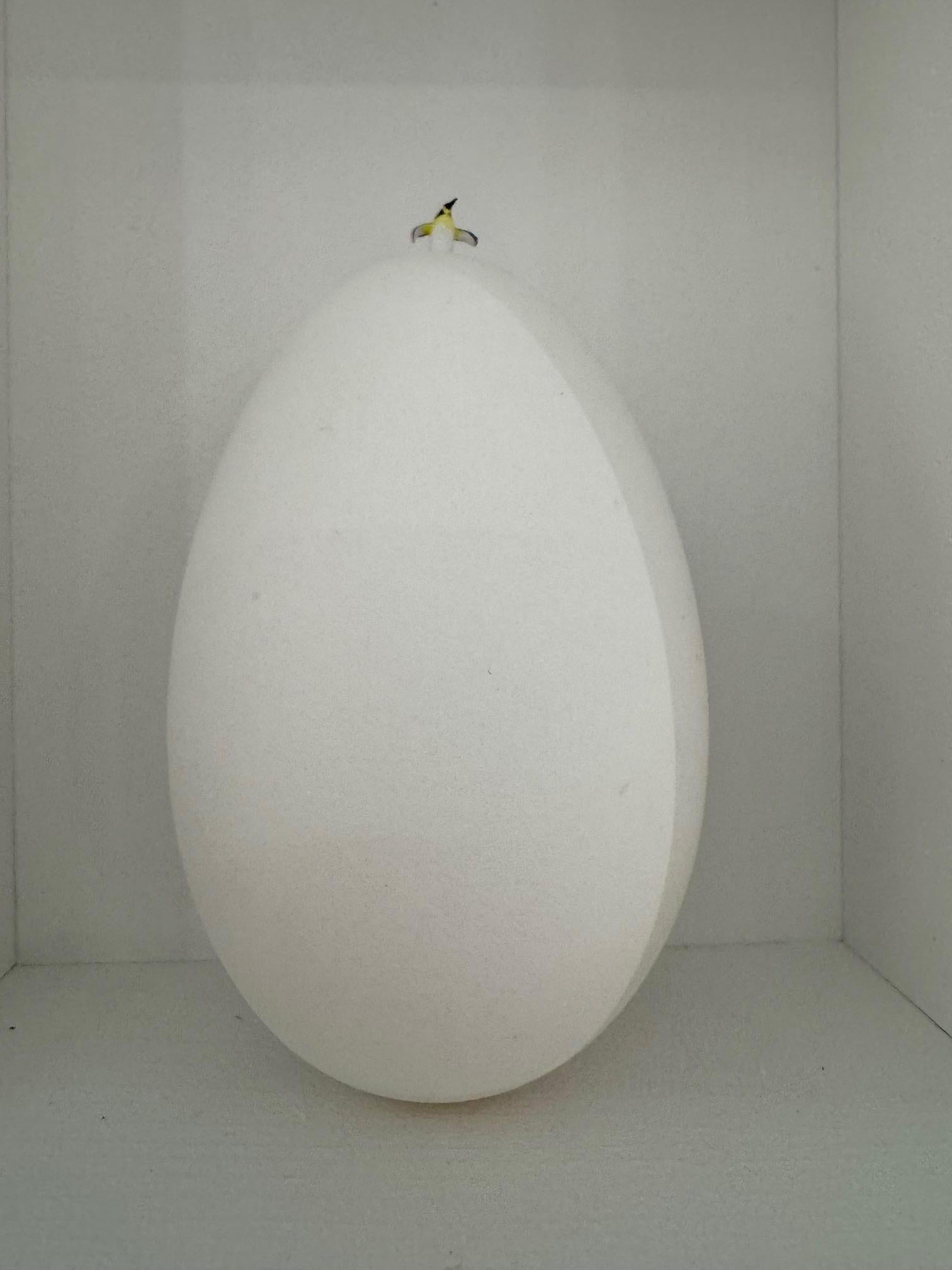Soy tan feliz - arte contemporáneo en cajas obra de Volker Kuhn pingüino sobre huevo en venta 7