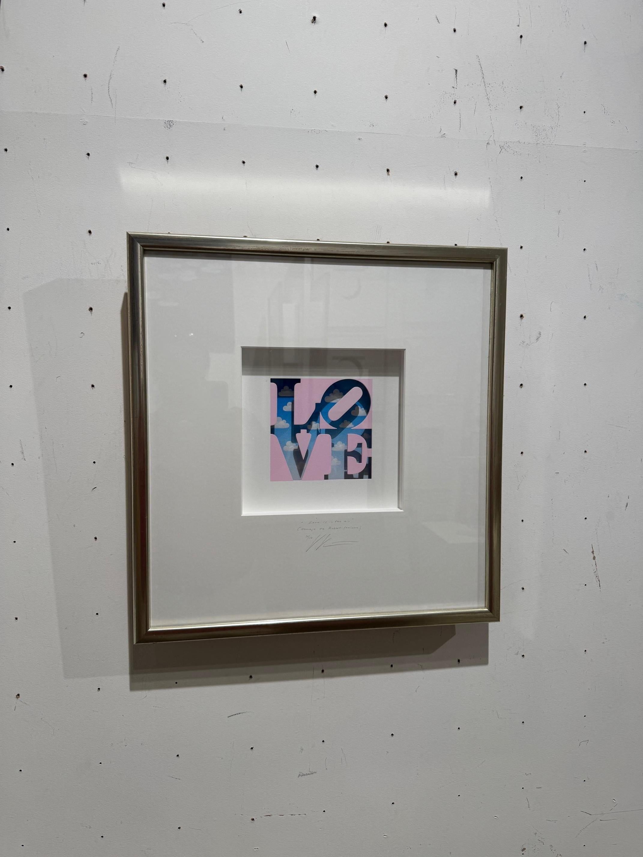 Love is in the Air (Homage to Indiana) arte contemporanea in scatole di Volker Kuhn in vendita 8