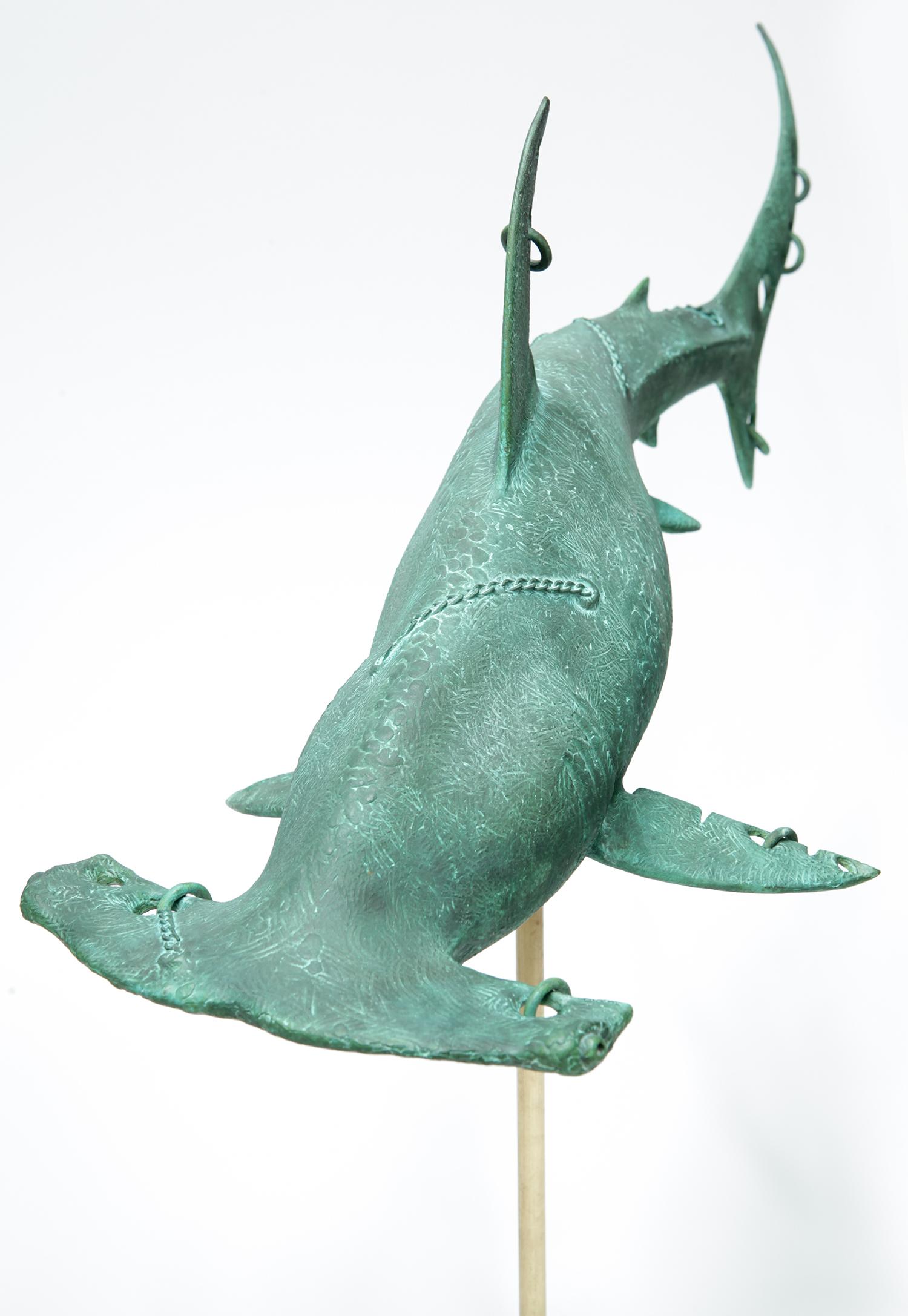 Hammer Shark - Édition limitée à 12 exemplaires, 5\12 en vente 1