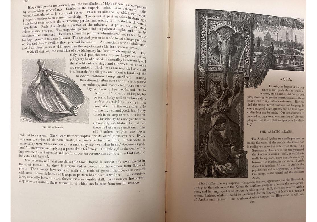 Volume VI Standard Nature 1885 in vendita 4